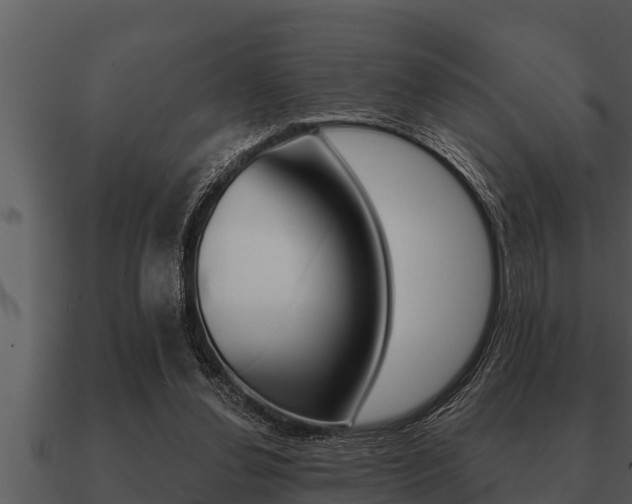 X0000091090252200708061005