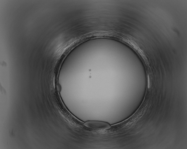 X0000091090253200708061005