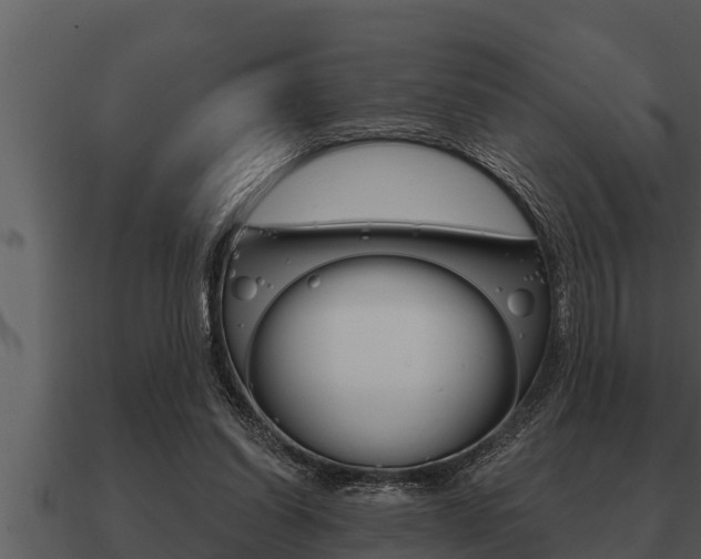 X0000091090254200708061005