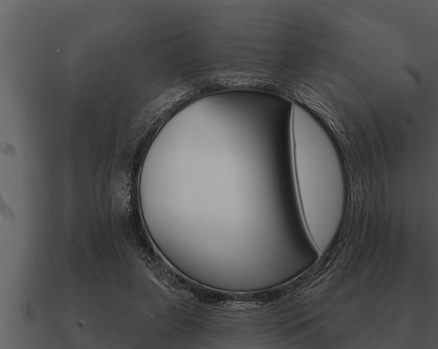 X0000091090255200708061005
