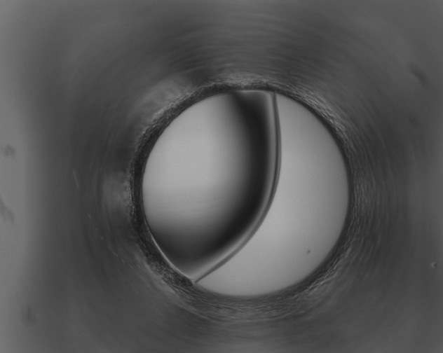 X0000091090256200708061005