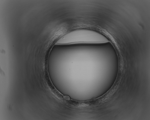 X0000091090257200708061005
