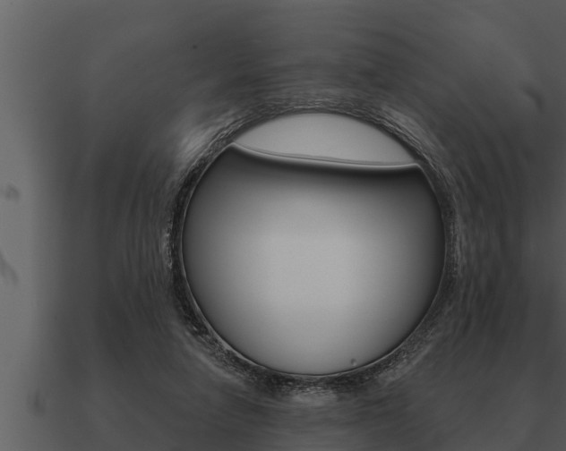 X0000091090258200708061005