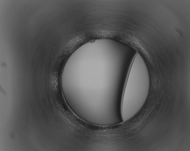 X0000091090259200708061005
