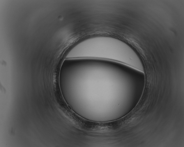 X0000091090260200708061005