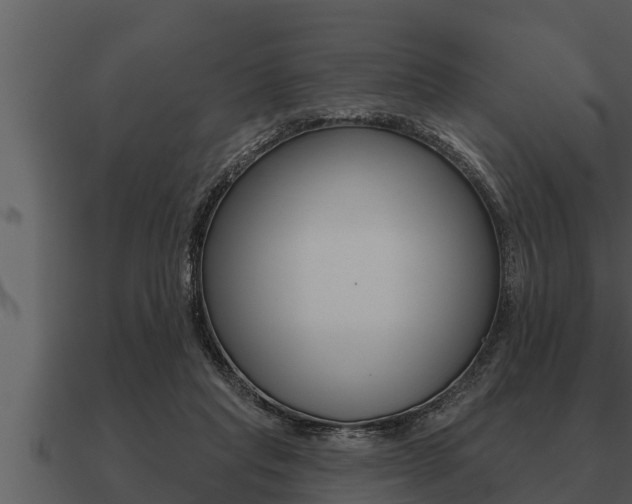 X0000091090261200708061005