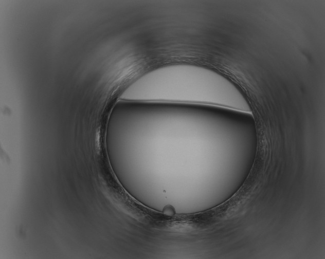 X0000091090262200708061005