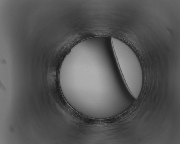 X0000091090263200708061005