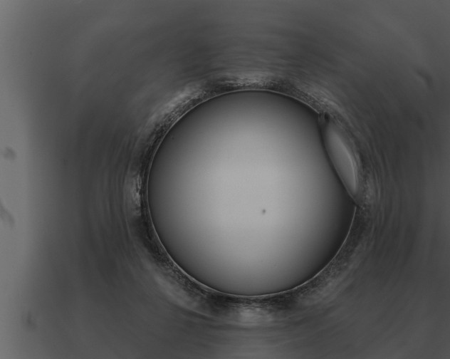 X0000091090264200708061005