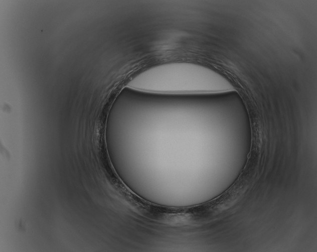 X0000091090266200708061005