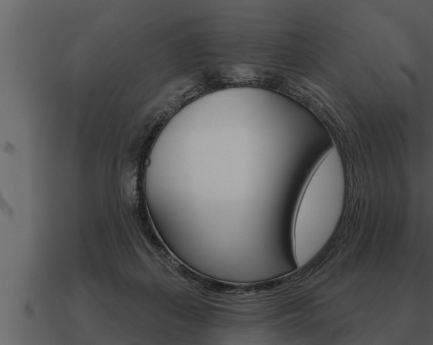 X0000091090267200708061005
