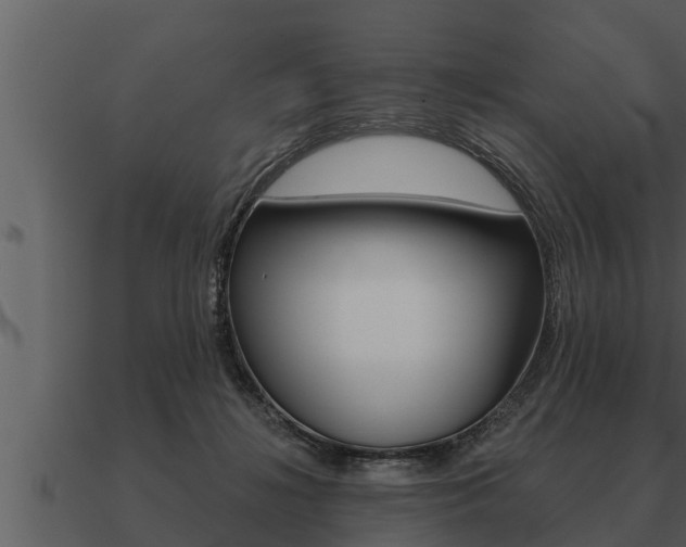 X0000091090268200708061005