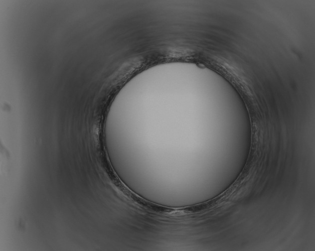 X0000091090269200708061005