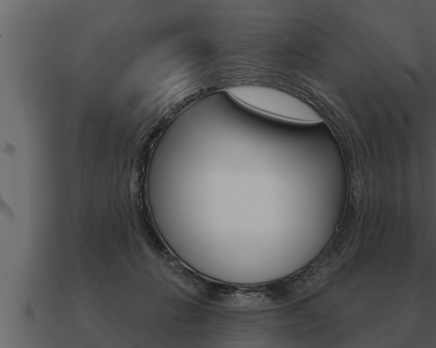 X0000091090270200708061005