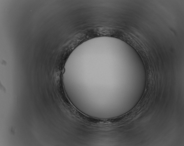 X0000091090271200708061005