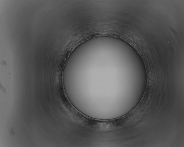 X0000091090272200708061005