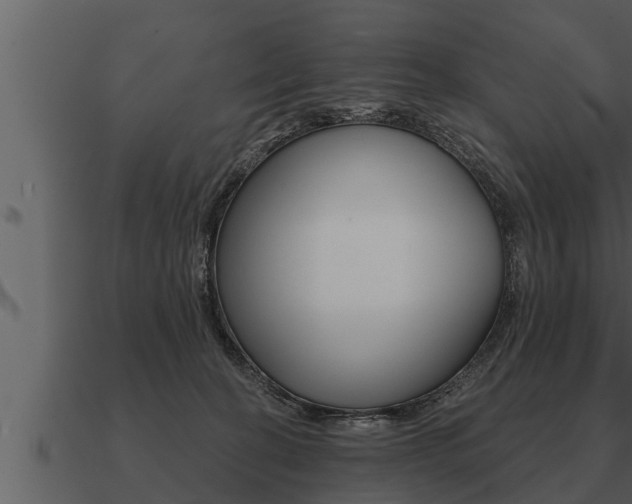 X0000091090274200708061005