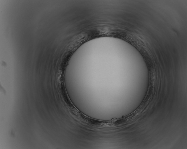 X0000091090275200708061005