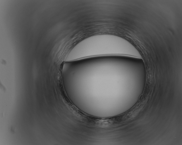 X0000091090277200708061005