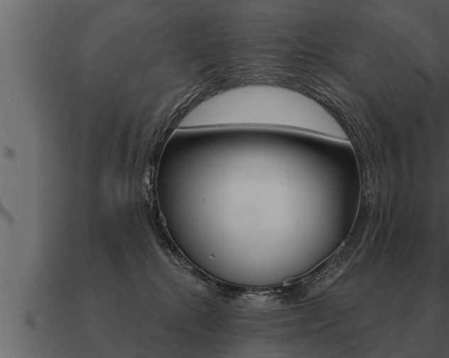 X0000091090280200708061005