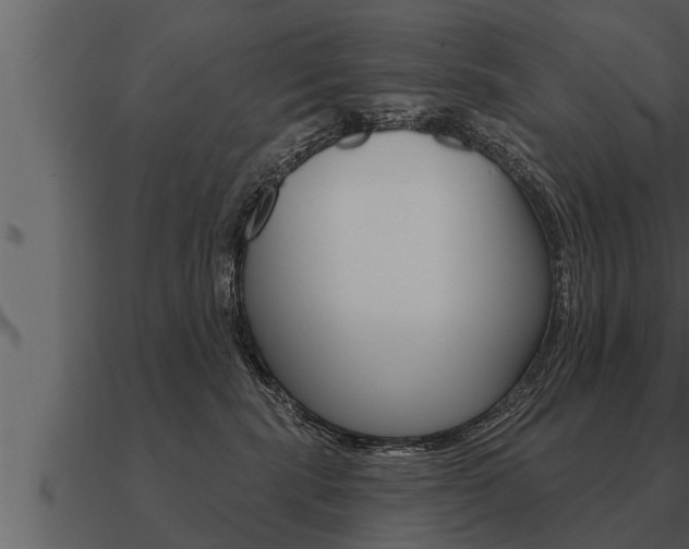 X0000091090283200708061005