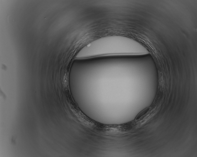 X0000091090285200708061005