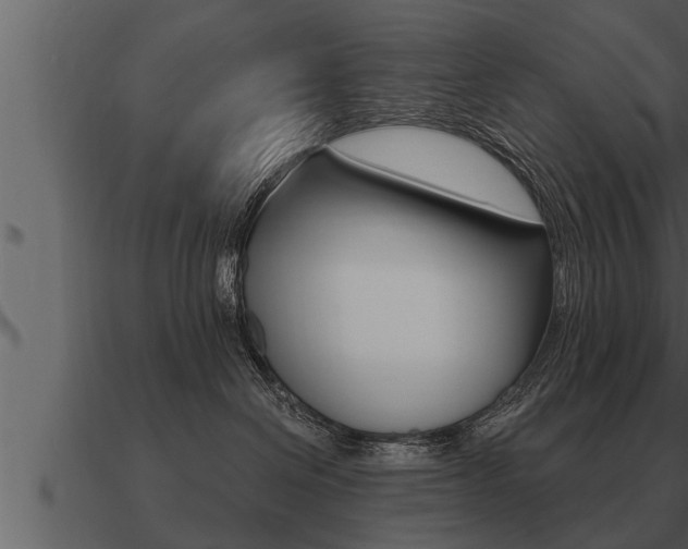 X0000091090286200708061005
