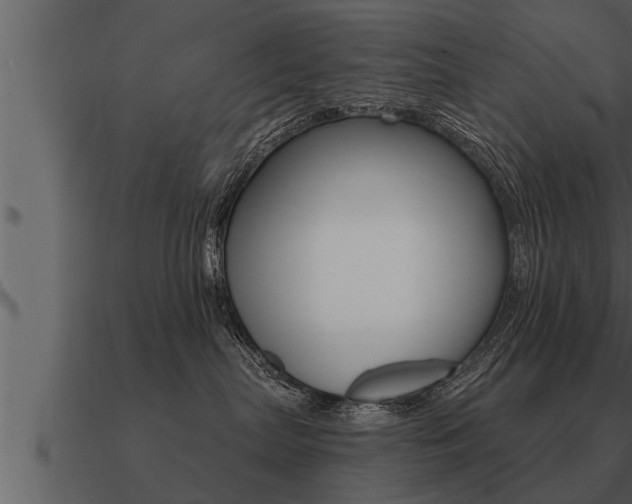 X0000091090287200708061005