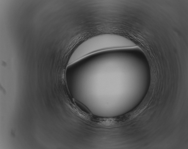 X0000091090288200708061005