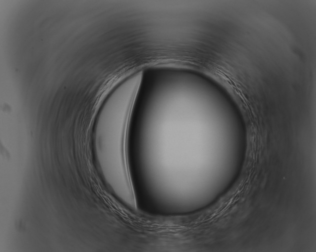 X0000091090289200708061005