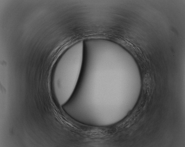 X0000091090290200708061005