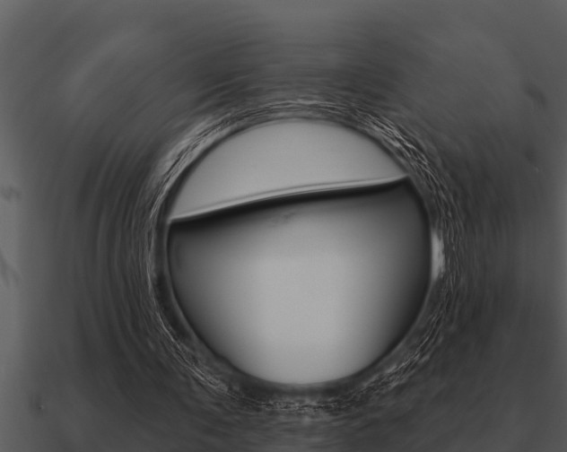 X0000091090291200708061005