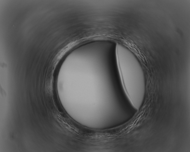 X0000091090292200708061005