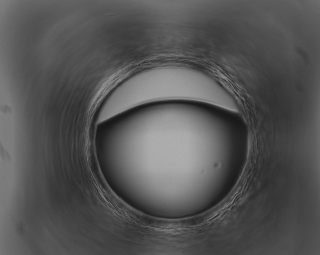 X0000091090293200708061005