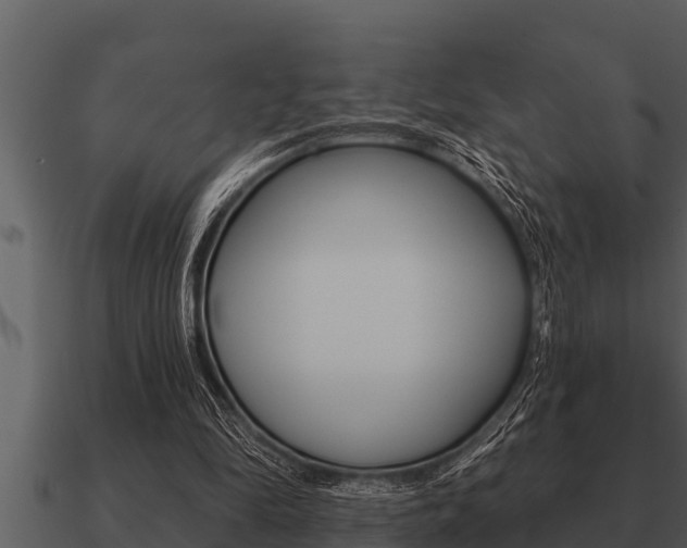 X0000091090294200708061005