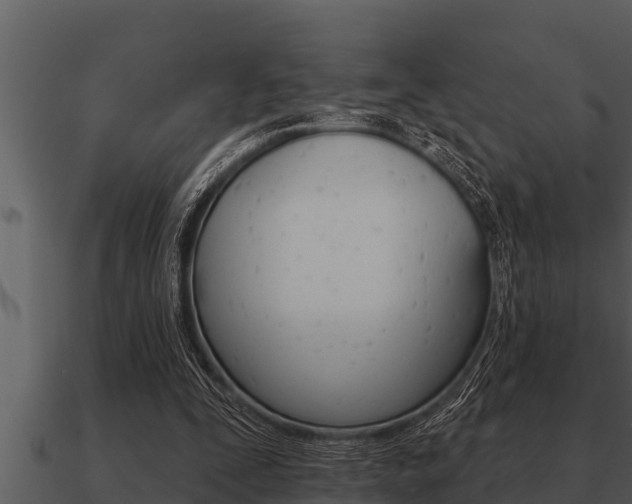 X0000091090295200708061005