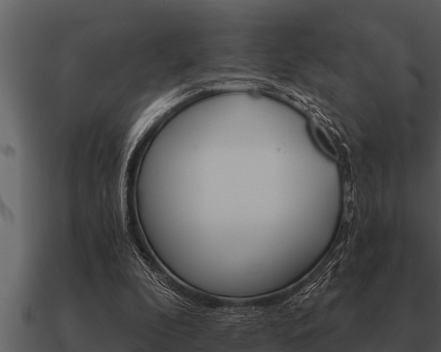 X0000091090296200708061005
