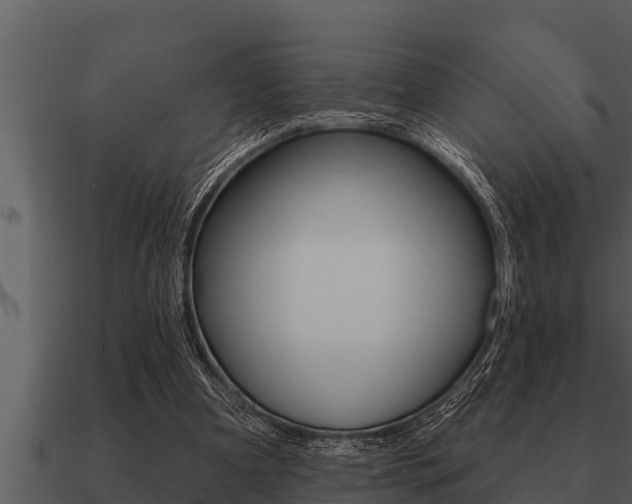 X0000091090297200708061005