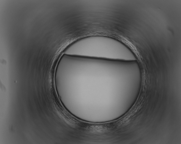X0000091090298200708061005