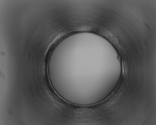 X0000091090300200708061005