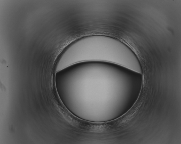 X0000091090301200708061005