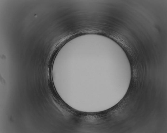 X0000091090302200708061005