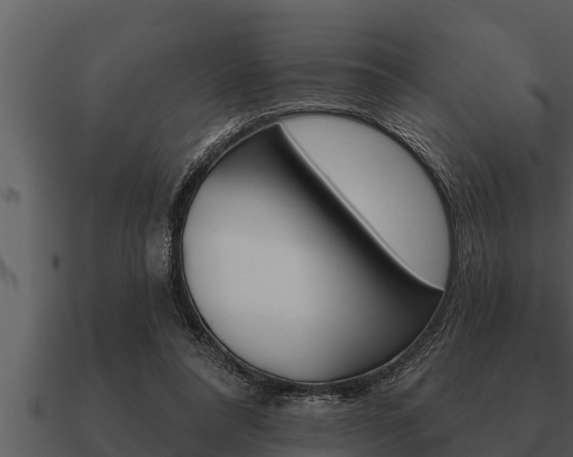 X0000091090304200708061005