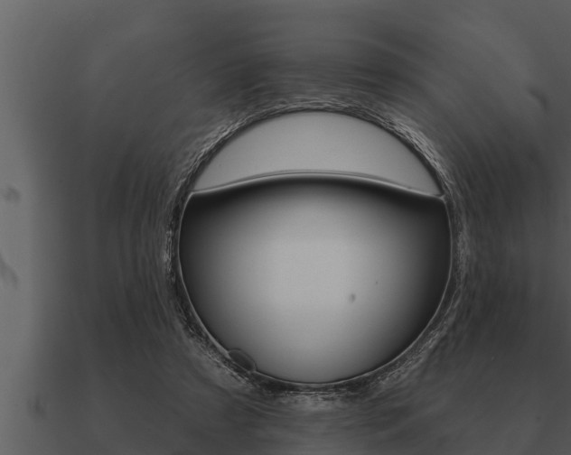 X0000091090305200708061005