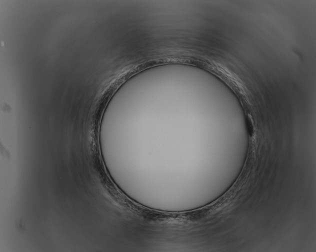 X0000091090306200708061005