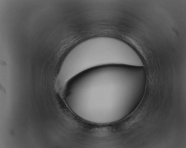 X0000091090307200708061005
