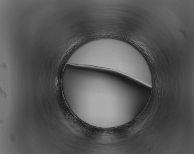 X0000091090308200708061005
