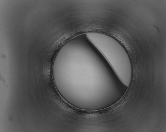 X0000091090309200708061005