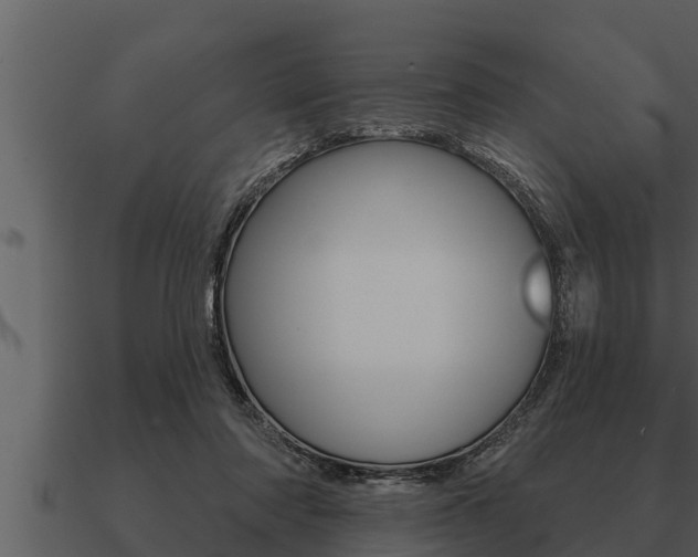 X0000091090310200708061005
