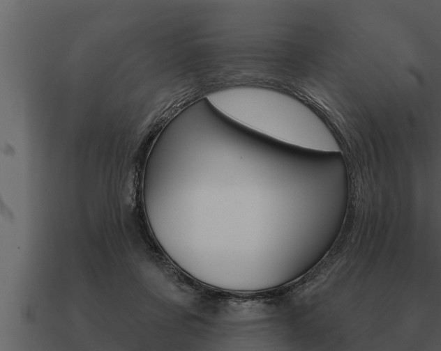 X0000091090311200708061005